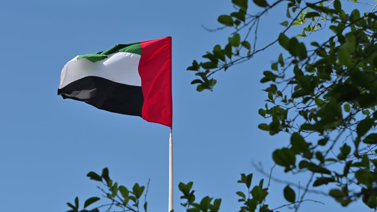 imágenes de 4k: bandera nacional de emiratos árabes unidos en un poste ondeando en el viento contra el cielo azul claro, una parte de las celebraciones del día nacional de los emiratos árabes unidos