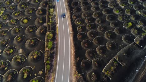 Fahrzeug,-Das-In-Der-Nähe-Der-Majestätischen-Kraterweinfarm-Auf-Der-Insel-Lanzarote-Auf-Asphaltstraße-Fährt,-Luftbild