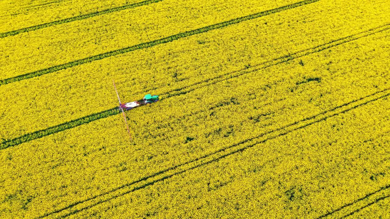 Aerial view of a tractor spraying chemicals on a blooming rapeseed field. The vibrant yellow flowers stretch across the farmland, highlighting modern agricultural practices.