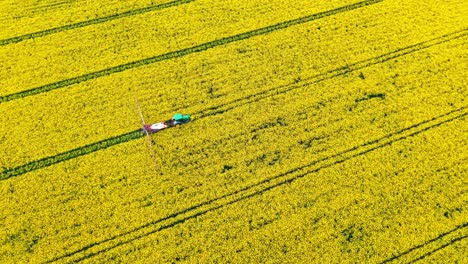 aerial view of a tractor spraying chemicals on a blooming rapeseed field. the vibrant yellow flowers stretch across the farmland, highlighting modern agricultural practices.