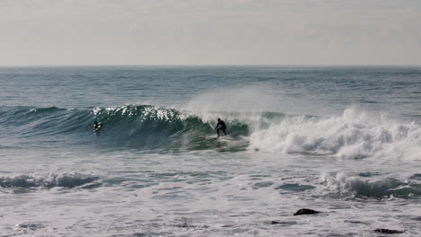 a surfer in a black wetsuit catches a small wave off the coast of australia near bondi beach