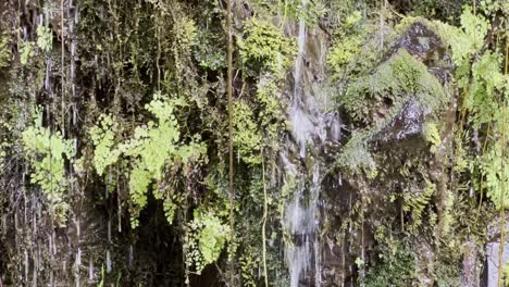 Cinematic-close-up-booming-up-shot-of-rainwater-flowing-through-lava-rock-in-the-rainforest-along-the-Road-to-Hana-in-Maui,-Hawai'i