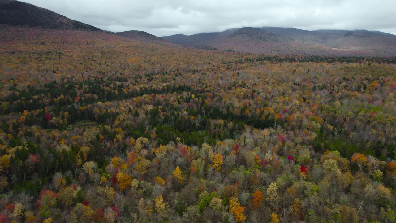 vista aérea del colorido paisaje de bosques caducifolios de otoño cerca de la ladera escénica