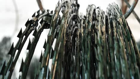 close up of rolled up barbed wire security fence