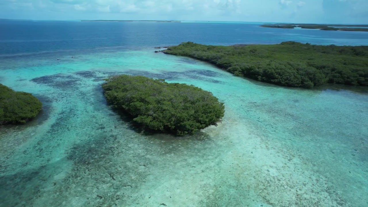 Laguna remota con mangrovie vivaci a Los Roques, vista aerea, serena e incontaminata.