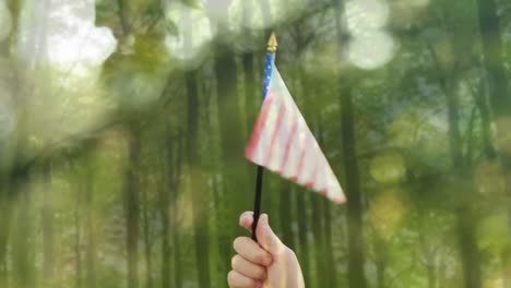 Hand-holding-American-flag-in-the-forest