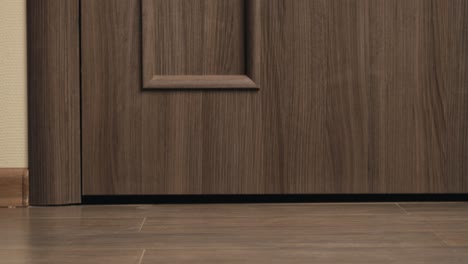 food and goods delivery box, contactless online shopping, volunteer courier delivers parcel a to door of home, door to door deliver, e-commerce purchase.