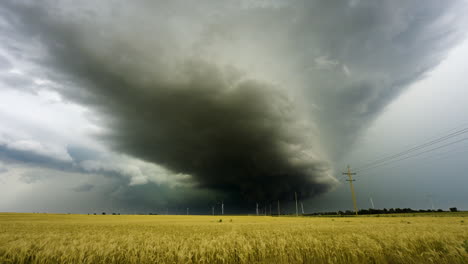 dark storm cloud moving above a golden field of wheat