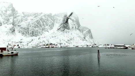 gaviotas volando sobre el pueblo pesquero de reine puerto de las islas lofoten en el norte de noruega y en la temporada de invierno con montañas cubiertas de nieve y cielo nublado