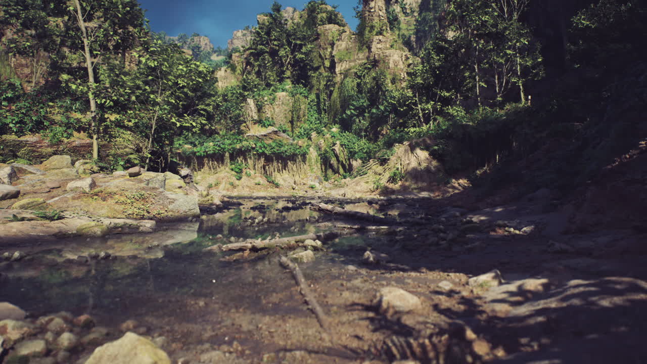 tranquilo río de la jungla