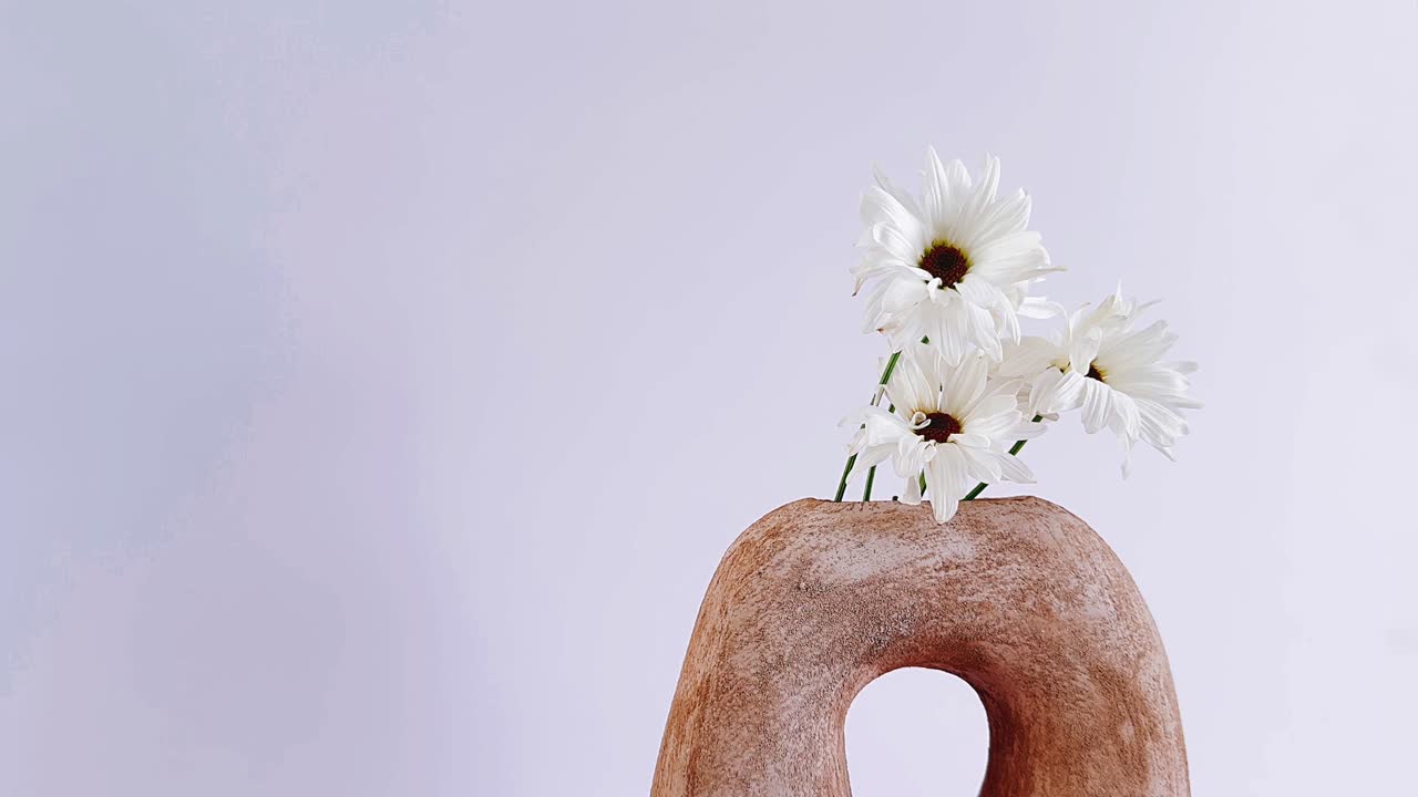 margaritas blancas en un jarrón de terracota