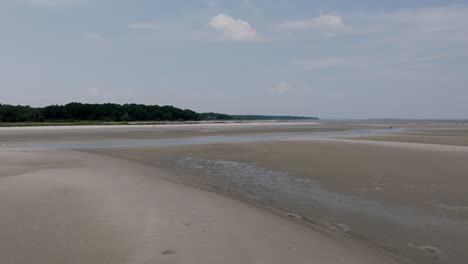 a distant view of marshy trees beyond a wide open beach scene, with thin water lines crisscrossing the soft sands in mid-day sun