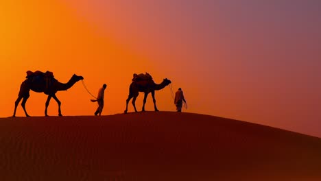 Cameleers,-camel-Drivers-at-sunset.-Thar-desert-on-sunset-Jaisalmer,-Rajasthan,-India.