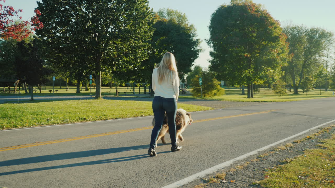 mujer paseando a un perro en un parque