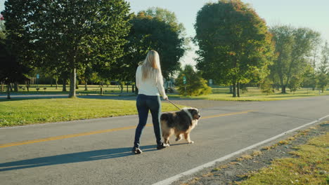 Frau,-Die-Mit-Dem-Hund-In-Einem-Park-Spazieren-Geht