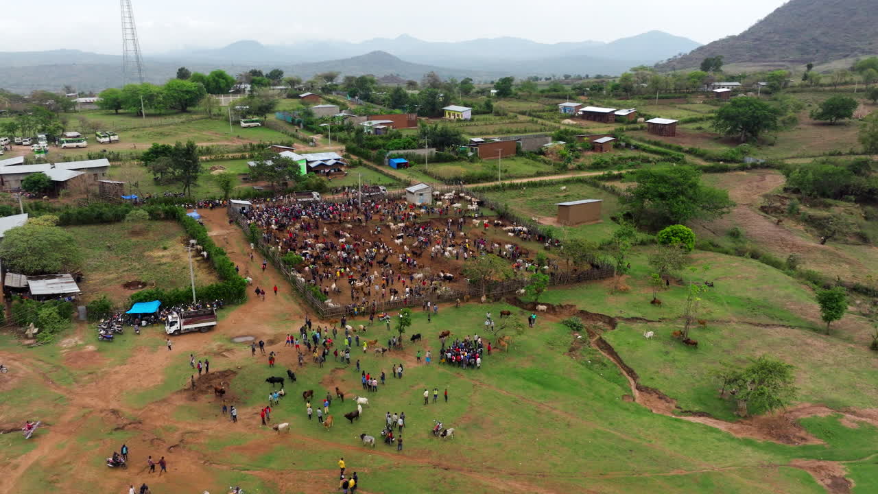 Bird’s-eye view of animal exchange at Kako tribal market