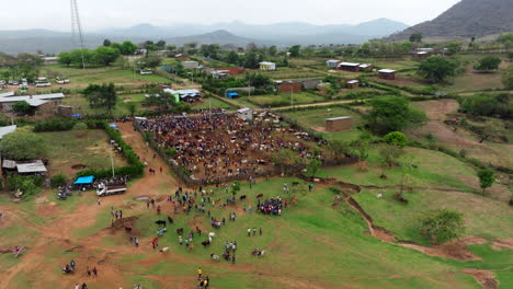 bird’s-eye view of animal exchange at kako tribal market