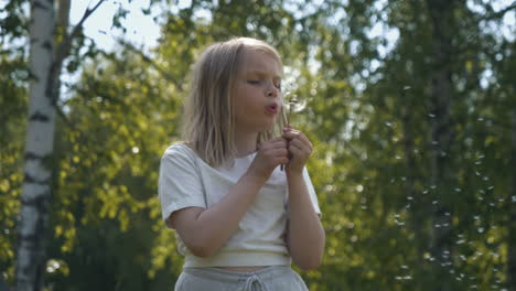 slomo close up shot of cute little blonde girl blowing dandelion seed head