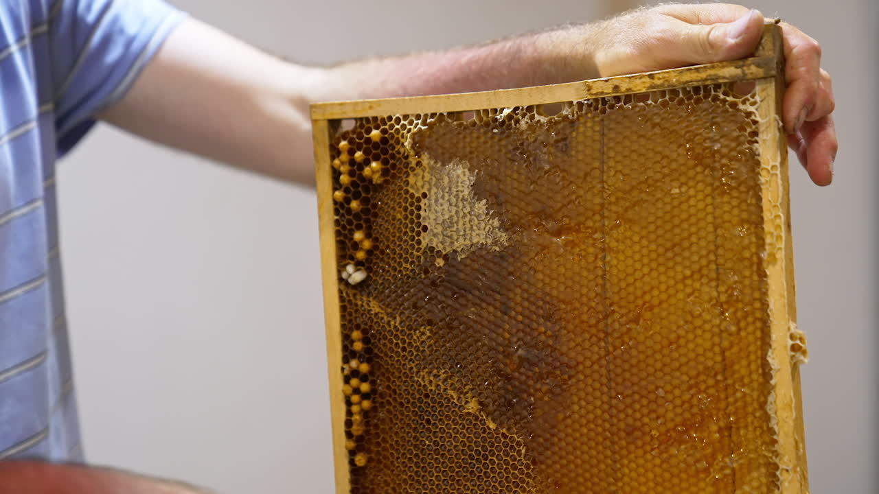 Beekeeper opens wax cells sealed by bees. Farmer using electric device for opening honeycombs to harvest honey.