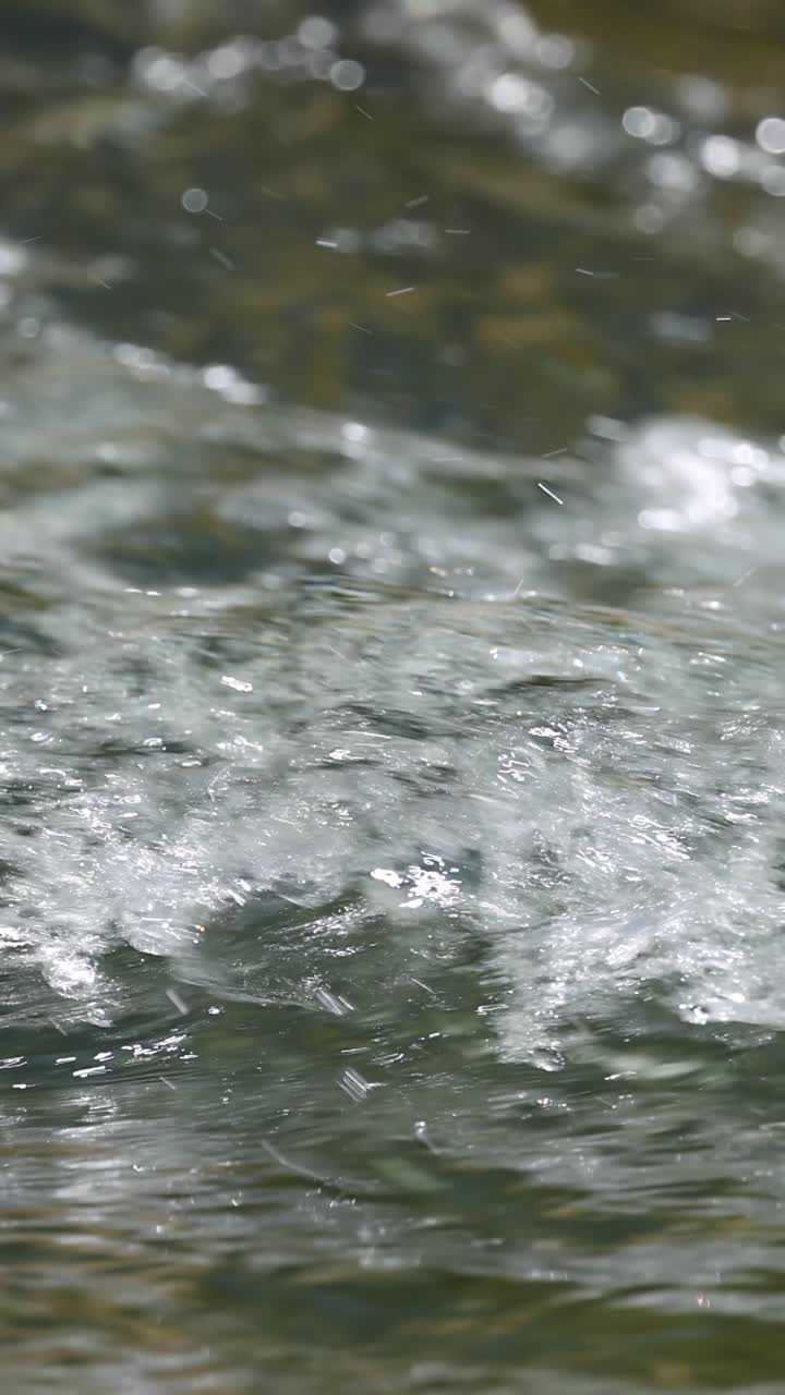 L'acqua del ruscello illuminata dal sole scorre rapidamente sulle rocce, creando increspature scintillanti e un delicato movimento di acqua bianca.