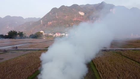 Reisfelder-Von-Mai-Chau-Vietnam-Während-Der-Brennsaison