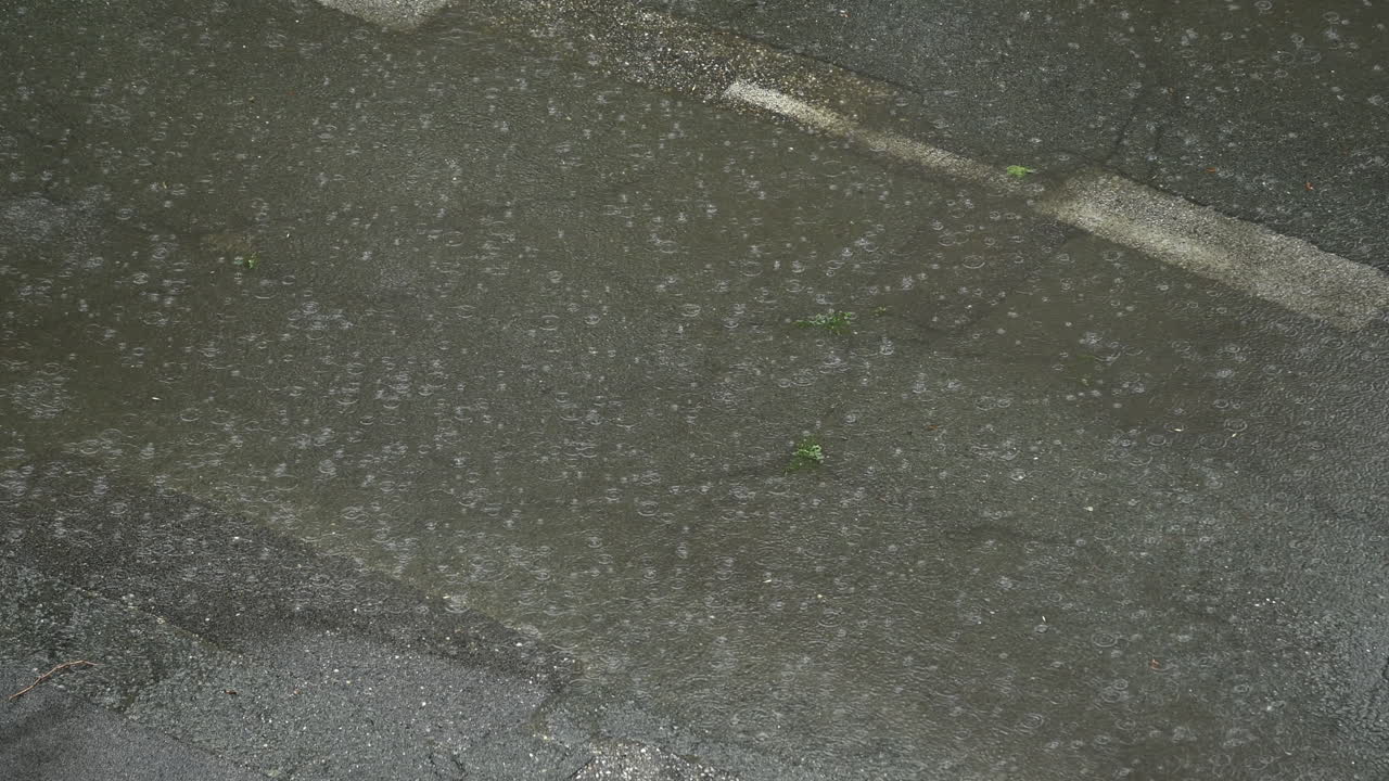 헝가리 거리에 내리는 비