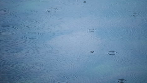 raindrops bouncing on the surface of the water sending ripples