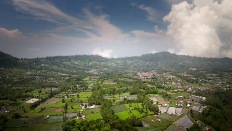 agricultural fields near mount batur on sunny day in bali, indonesia