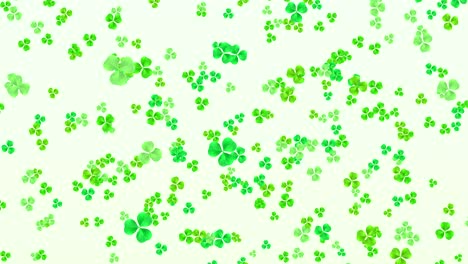 clover leafs falling for st. patrick's day background looped