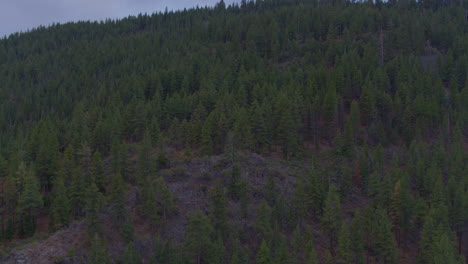 Aerial-of-mountainside-in-Lake-Tahoe,-Nevada-with-descent-down-the-mountain-covered-in-Douglas-Fir-trees