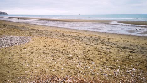 Un-Día-En-La-Playa