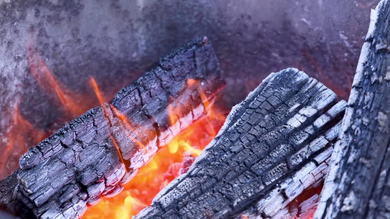 불꽃과 불꽃으로 불타는 나무