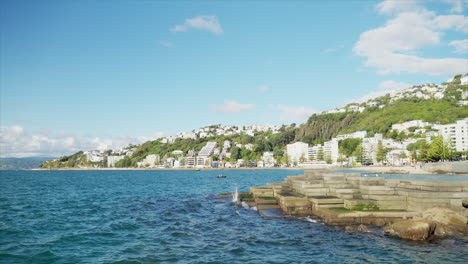 wellington stone slabs in near oriental bay, new zealand