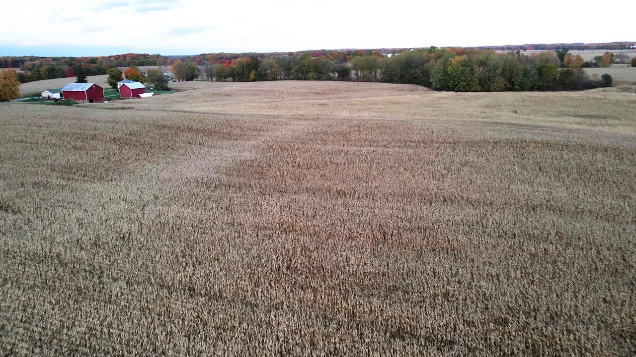 Farm land harvested in autumn in Michigan