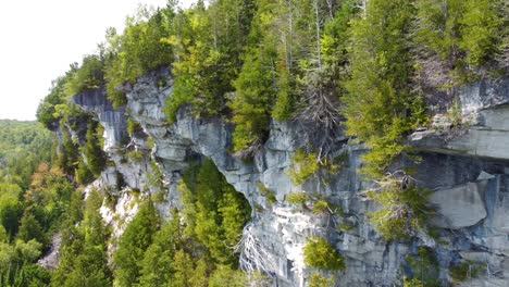 Acantilados-De-Piedra-Caliza-Con-Vegetación-De-La-Isla-Flowerpot-En-La-Bahía-Georgiana,-Ontario,-Canadá