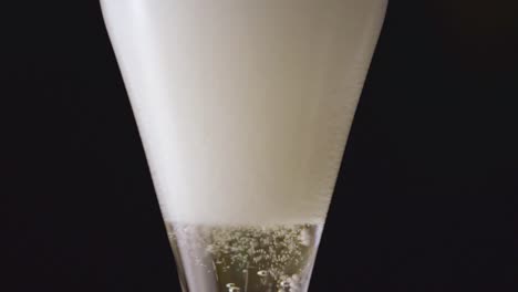 champagne is being poured in a glossy flute.macro shot with dark background