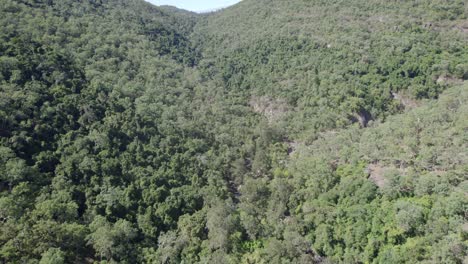Dense-Vegetation-Surrounding-Paluma-Range-National-Park-In-North-Queensland,-Australia---aerial-drone-shot