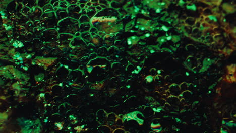 Abstract Green Bubble Texture