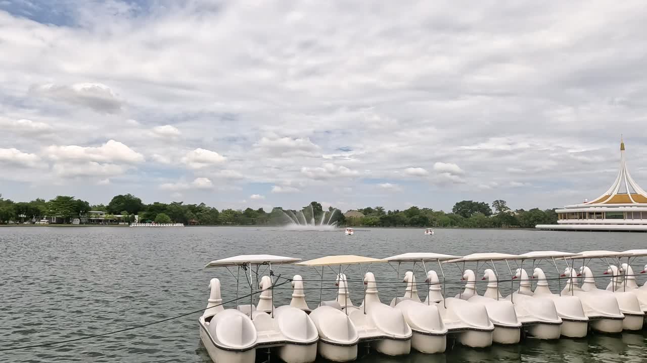 los barcos de cisnes flotando pacíficamente en un lago pintoresco