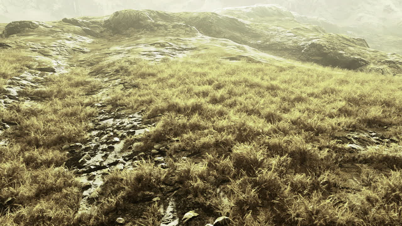 Expansive grassy terrain with rugged rocks under soft sunlight in nature