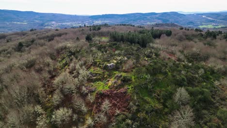 Celtic-fort-A-Bariña,-aerial-view,-in-xunqueira-de-ambia,-spain