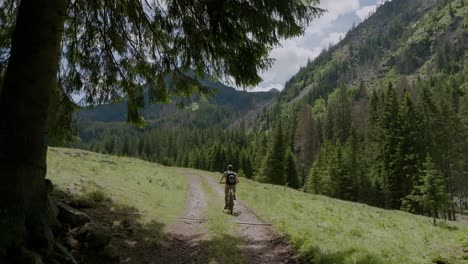 Pov-tracking-shot-of-mtb-cyclist-riding-on-rocky-path-in-green-mountains-of-Italy---stopping-and-enjoying-beautiful-scenery