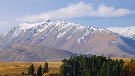 wide daytime shot pans across lake tekapo’s snow-capped mountains, pine forest, and autumn foliage under clear blue sky with soft natural lighting
