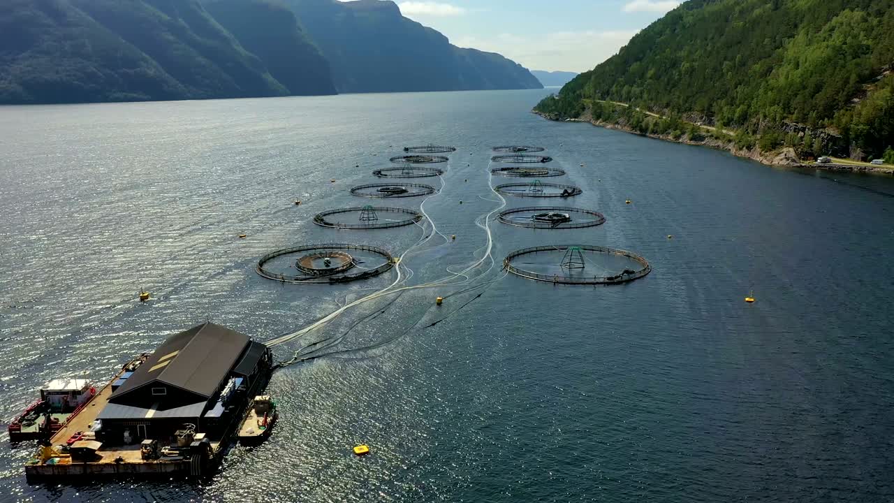 노르웨이에서 연어  ⁇ 시를 하는 공중 촬영