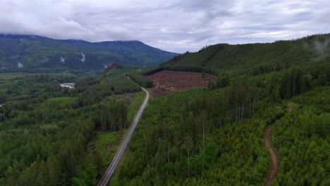 Una-Toma-Amplia-De-Un-Bosque-Recién-Talado