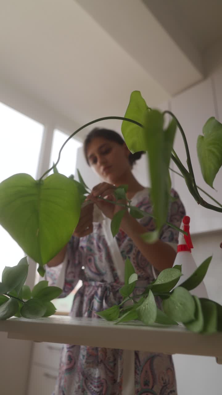 Woman caring for houseplants in the kitchen