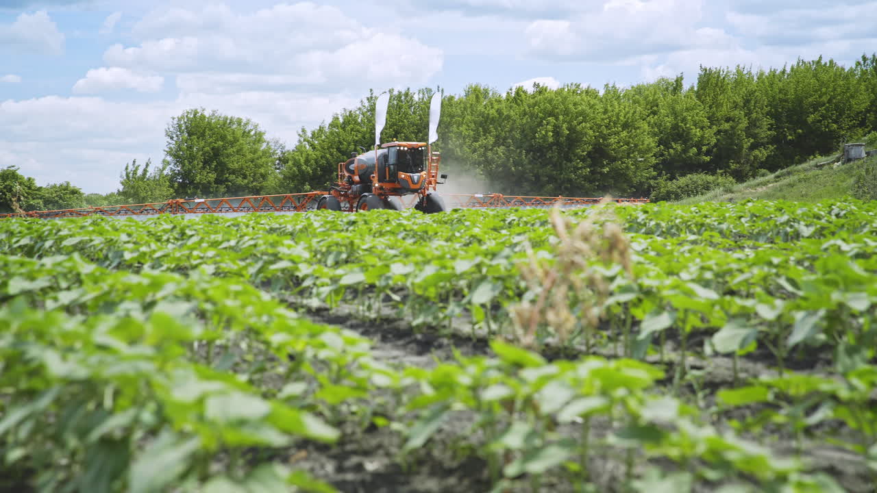 Concimazione agricola sul campo. Irrorazione di pesticidi. Campo irrigato.
