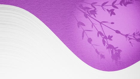 graphics-art-animation-of-split-screen-with-empty-white-space-and-flower-plant-moving-by-gentle-summer-breeze-on-purple-pink-background-drop-shape