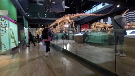 visitors explore dinosaur skeleton exhibit at museum