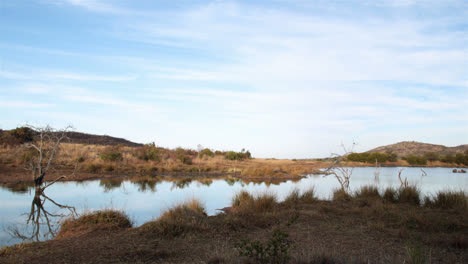 escena de la naturaleza en sudáfrica